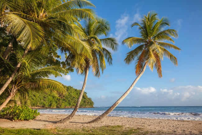 Обои картинки фото природа, тропики, курорт