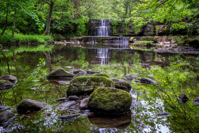 Обои картинки фото природа, водопады, лес, река, водопад