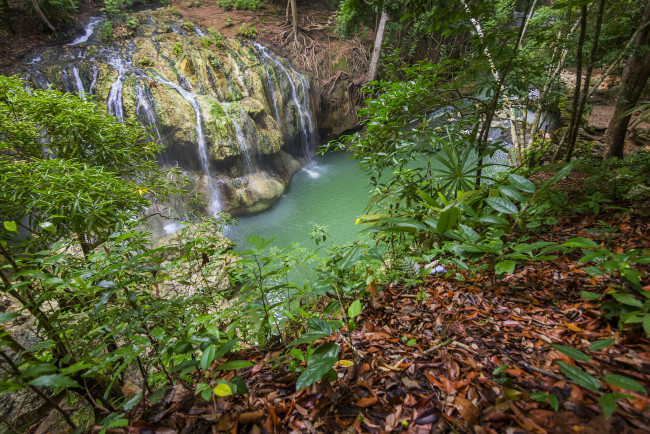 Обои картинки фото природа, водопады, водопад, река, лес