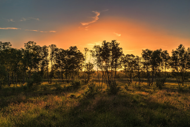 Обои картинки фото природа, восходы, закаты, рассвет