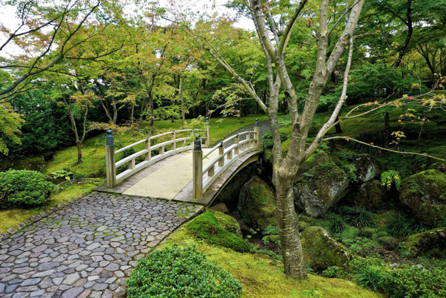 Обои картинки фото природа, дороги, тракт