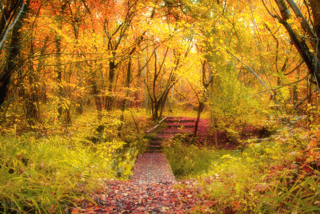 Обои картинки фото природа, дороги, тракт