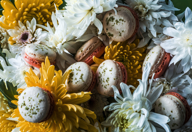 Обои картинки фото еда, макаруны, цветы, пирожные