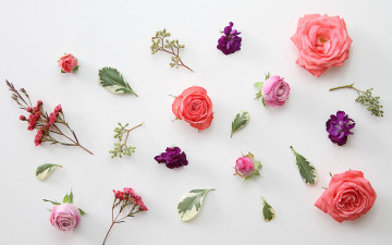 Картинка цветы разные+вместе розы листья бутоны