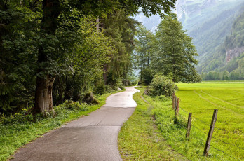 Картинка природа дороги деревья дорога проселочная