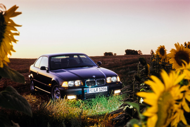 Обои картинки фото автомобили, bmw