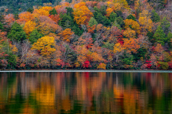 Картинка природа реки озера осень