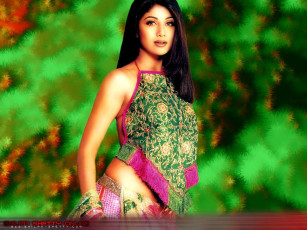 Картинка Shilpa+Shetty девушки