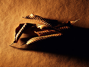 Картинка q09 разное