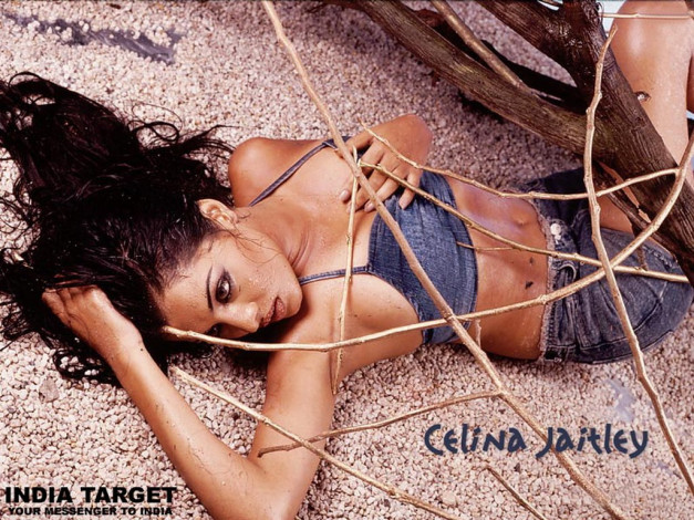 Обои картинки фото Celina Jailtley, девушки