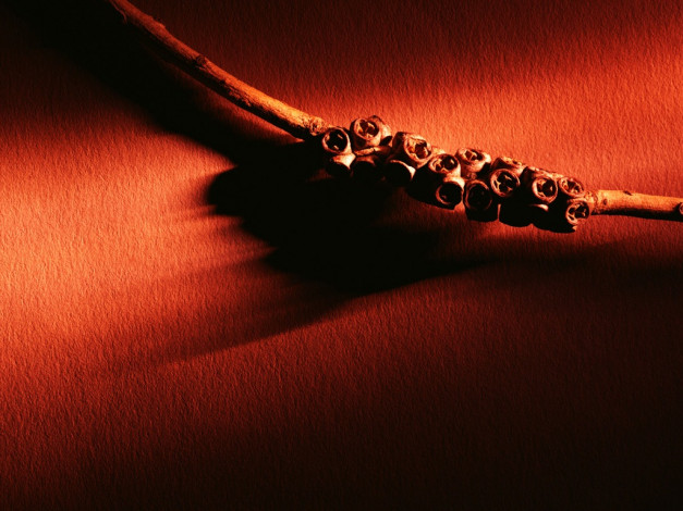 Обои картинки фото q05, разное