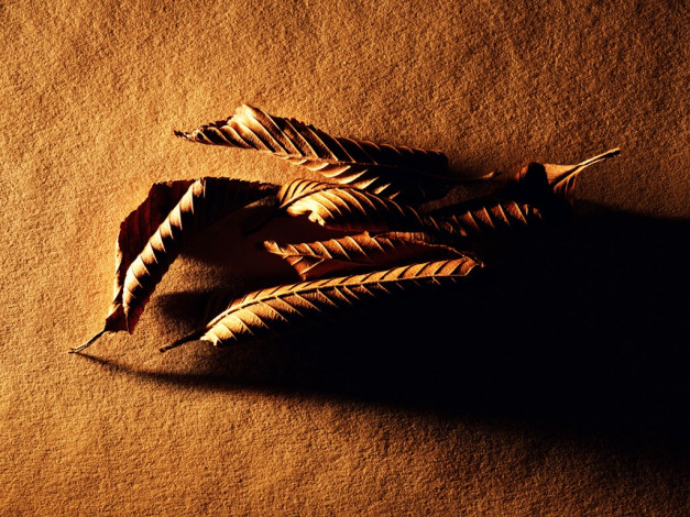 Обои картинки фото q09, разное