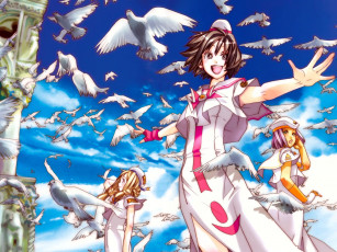 Картинка аниме aria