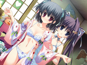 Картинка аниме *unknown другое