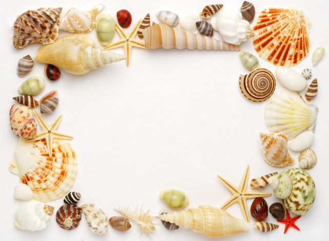 Обои картинки фото разное, ракушки, кораллы, декоративные, spa, камни