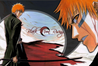 Картинка аниме bleach ichigo bankai ичиго
