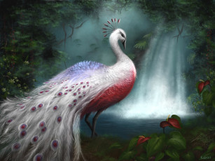 Картинка рисованные животные павлин