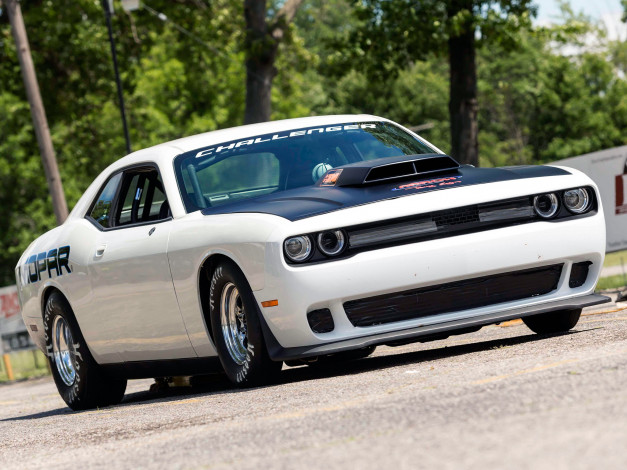 Обои картинки фото автомобили, dodge, drag, challenger, 2015г, lc, pak, mopar
