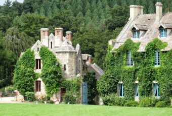 Картинка города -+здания +дома дома плющ деревья лужайка
