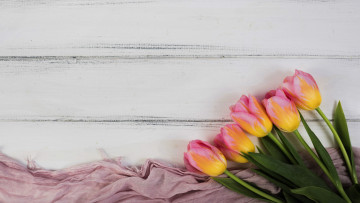 Картинка цветы тюльпаны бутоны