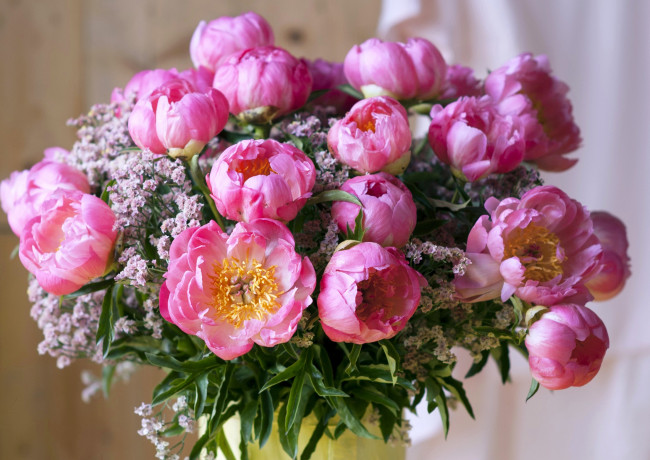 Обои картинки фото цветы, пионы