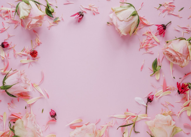 Обои картинки фото цветы, разные вместе, лепестки, бутоны