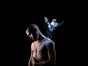 Картинка разное компьютерный+дизайн парень рисунок сокол птица