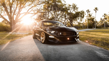Картинка автомобили mustang ford shelby gt350