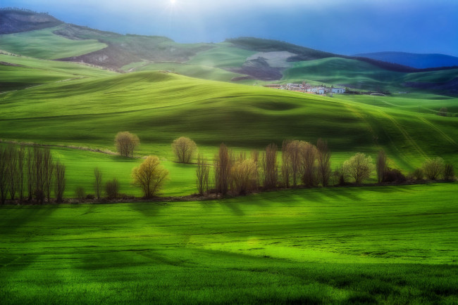 Обои картинки фото природа, пейзажи, свет, деревья, холмы