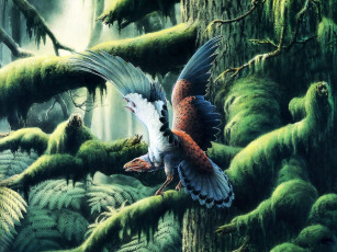 Картинка архиоптерикс рисованные животные доисторические