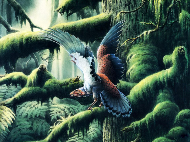 Обои картинки фото архиоптерикс, рисованные, животные, доисторические