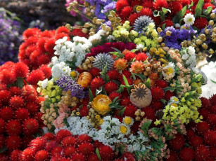 Картинка цветы букеты композиции