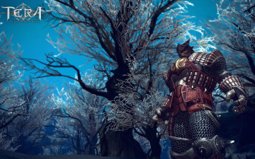 Картинка tera the exiled realm of arborea видео игры