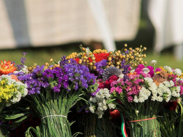 Обои картинки фото цветы, букеты, композиции