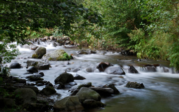 Картинка природа реки озера деревья камни