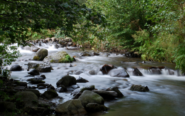 Обои картинки фото природа, реки, озера, деревья, камни