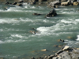 Картинка река природа реки озера вода