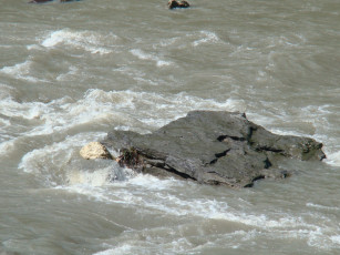 Картинка река природа вода