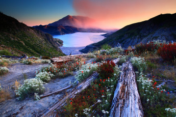 Картинка mount saint helens national volcanic monument washington природа реки озера озеро спирит закат сент-хеленс гора святой елены spirit lake цветы