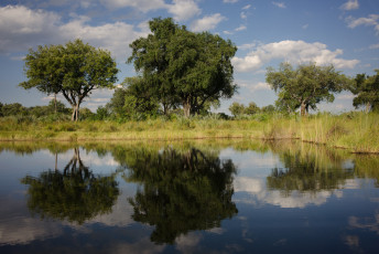 Картинка природа реки озера озеро трава вода небо облака отражение деревья