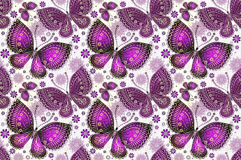 Картинка векторная+графика животные крылья узор бабочки