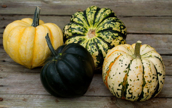 Обои картинки фото еда, тыква, тыквы