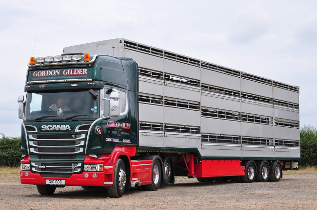 Обои картинки фото автомобили, scania , выставка, улица, тягач, грузовик, тяжелый, седельный