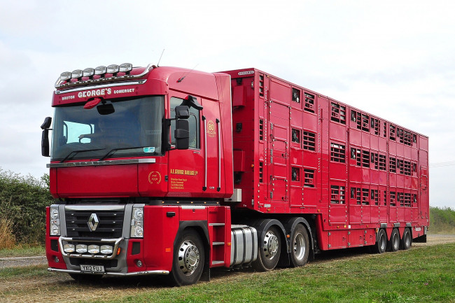 Обои картинки фото автомобили, renault trucks, тягач, седельный, грузовик, тяжелый