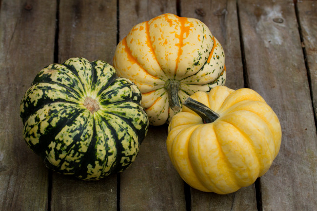 Обои картинки фото еда, тыква, тыквы