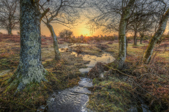 Картинка природа реки озера река лес