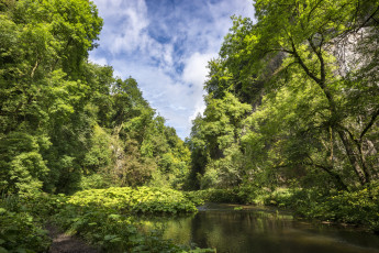 Картинка природа реки озера река лес