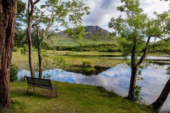 Картинка природа реки озера лес река