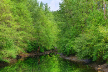 Картинка природа реки озера лес река