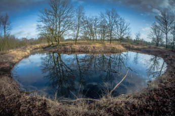 Картинка природа реки озера река лес